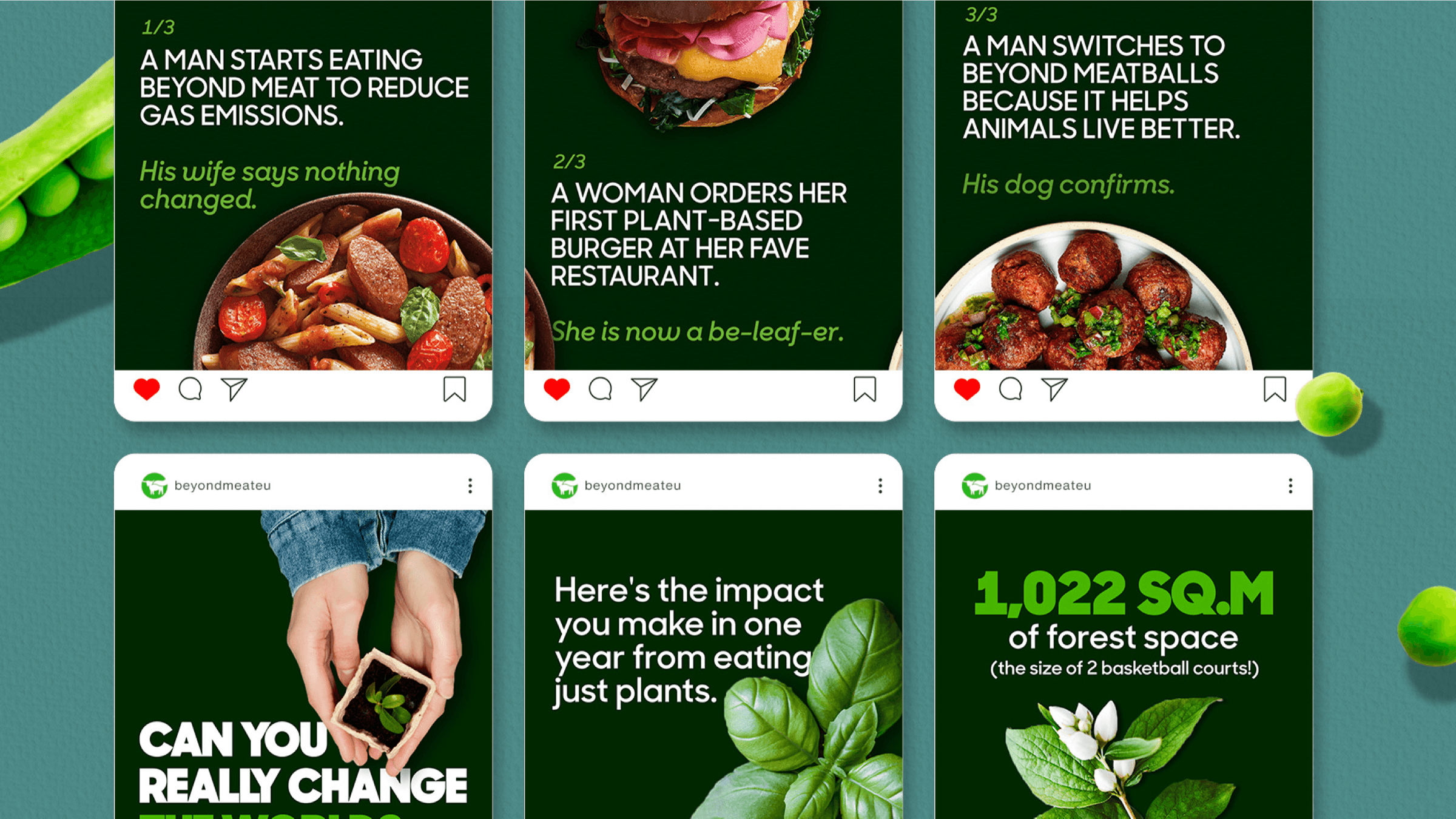 Beyond Meat — section 1