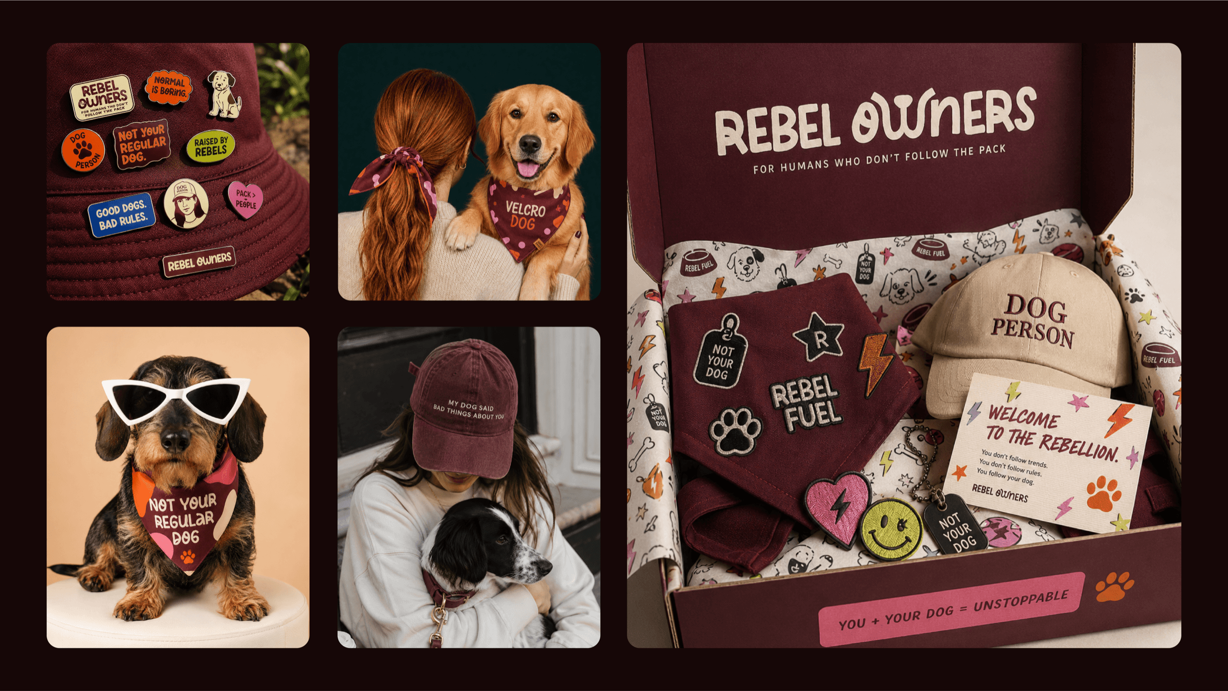 Rebel Owners — section 3